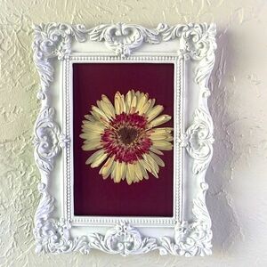 Sweet Daisy! Dried, pressed, floral wall Art. White plaster frame.